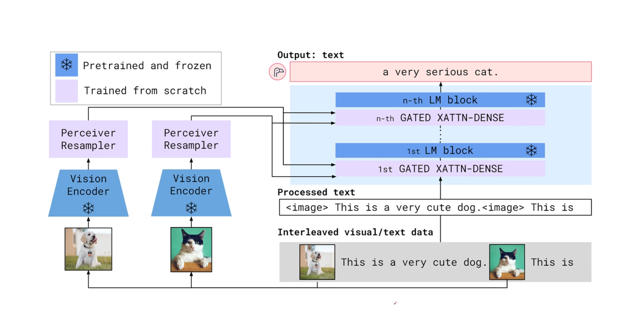 image-20251224205747396