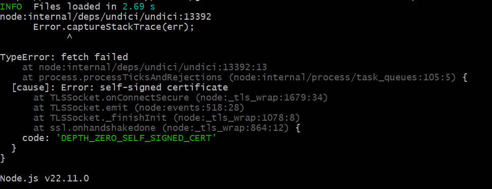 image-20250201181016518